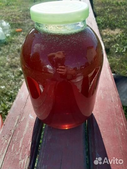 Мед натуральный, свежий, разнотравье, доставка