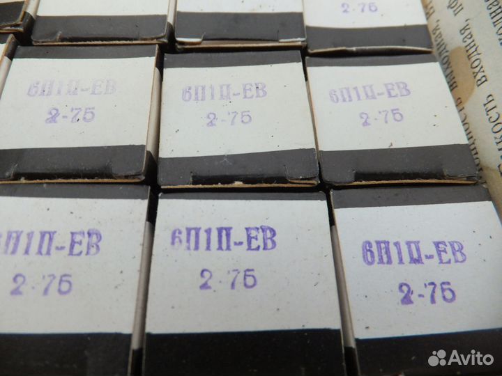 6П1П -ев 6922 gold lion