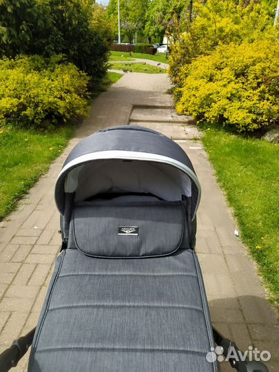 Коляска adamex 3 в 1