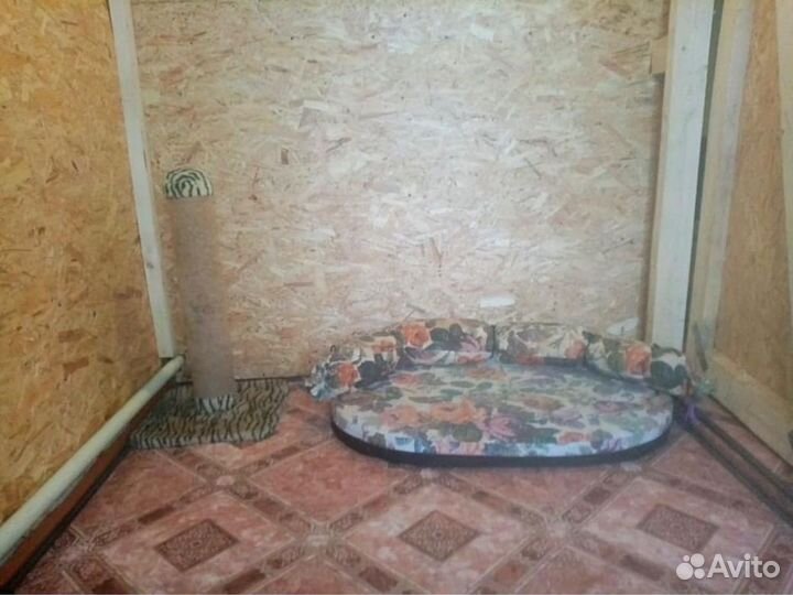 Зоогостиница