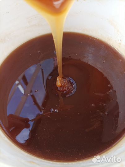 Башкирский мед оптом. Урожай 2022