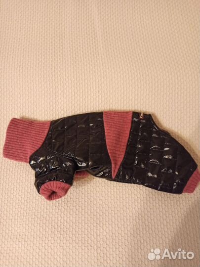 Комбинезон для маленькой собаки