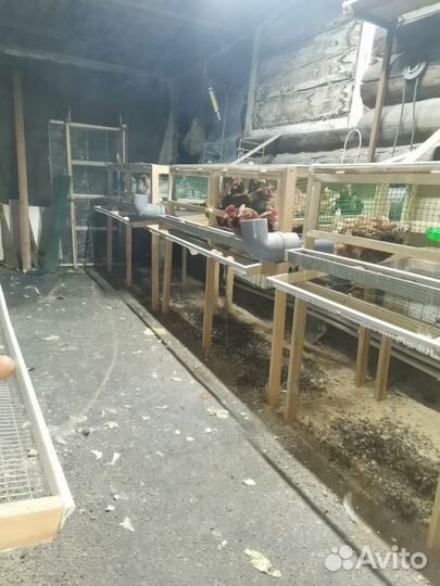 Курятник для кур