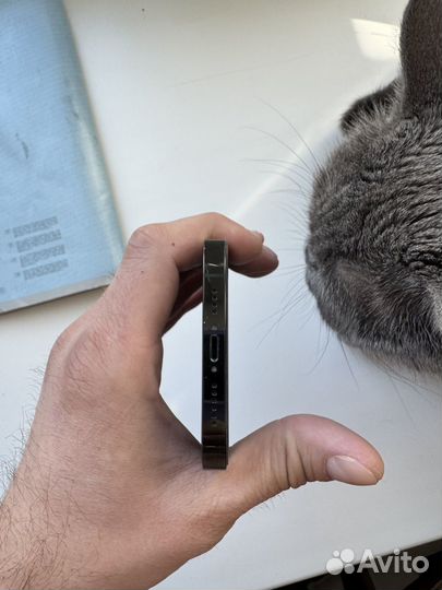 iPhone 14 Pro Max, 256 ГБ