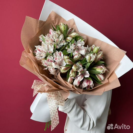 Нежность альстромерии