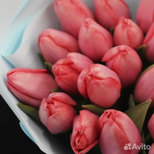 Букет нежных тюльпанов 25 шт Skittles