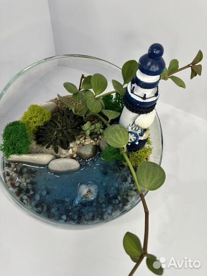 Флорариум с водоемом+подарочная упаковка