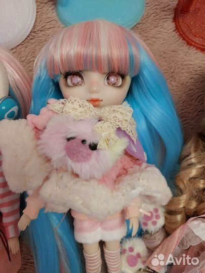 Куклы Pullip, Dal. Пуллип, Дал
