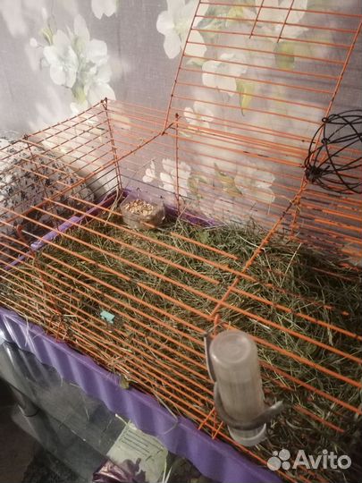 Клетка для кролика большая
