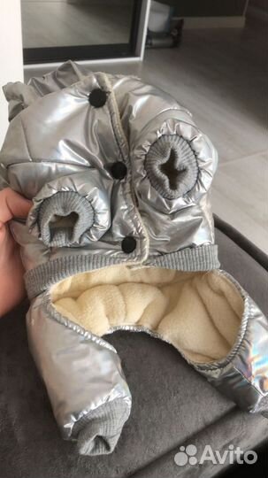 Одежда для собак