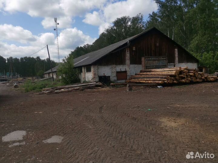 Пилорама в аренду