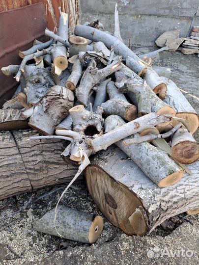 Ореховое дерево