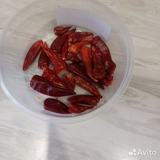 Рассада острого перца