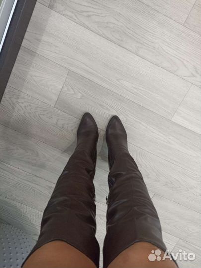 Сапоги ботфорты