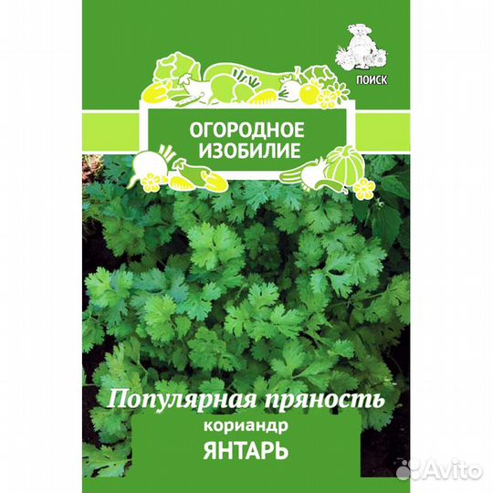 Кориандр Янтарь