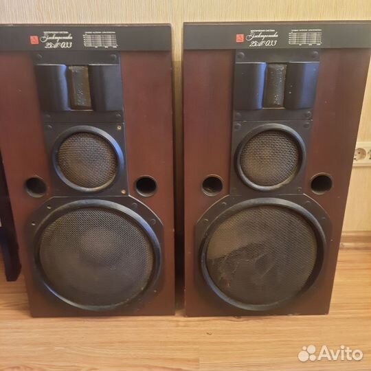 Акустические колонки Электроника 25ас 033