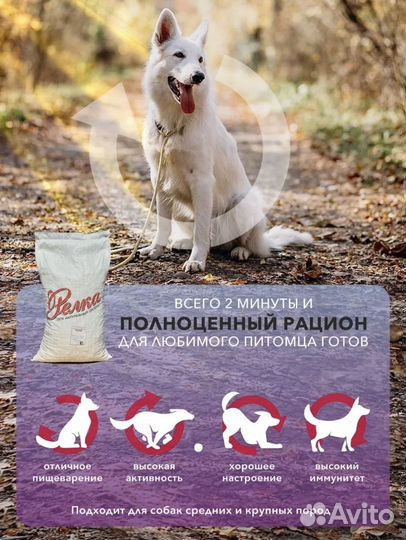 Доставка на дом корма для собак 