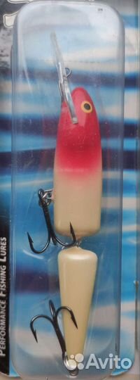 Salmo whitefish 13JD