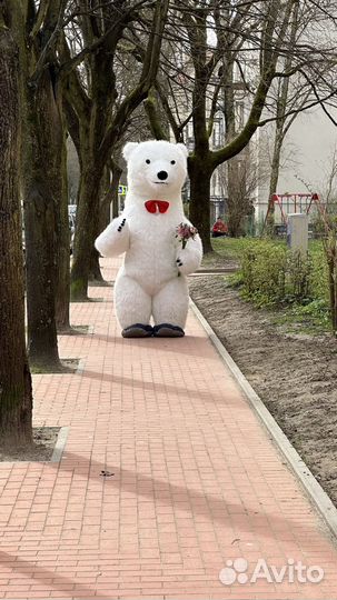 Экспресс-поздравление Белый мишка