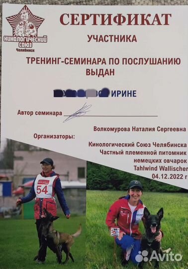 Услуги кинолога (специалист по поведению собак)