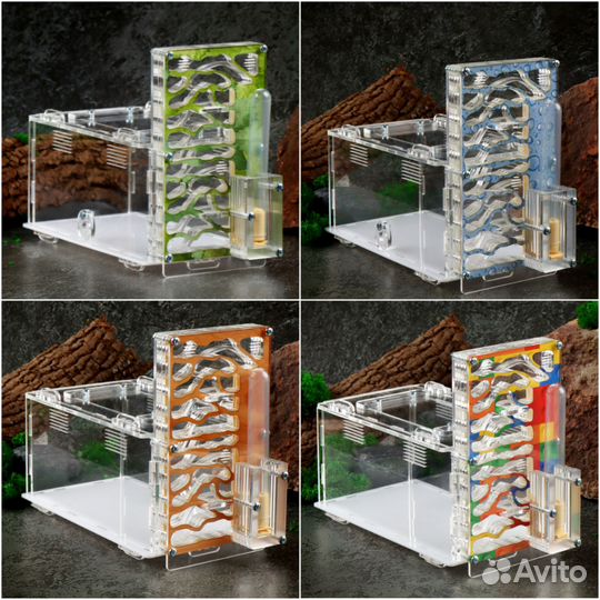 Муравьиные фермы с муравьями, доставка