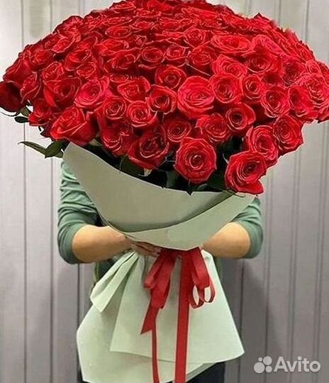 Высокие розы Гигантские Розы 150 160 170 180 190см