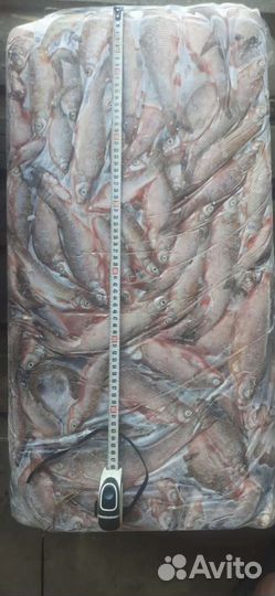 Продукты оптом