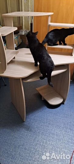 Компьютерный стол бу