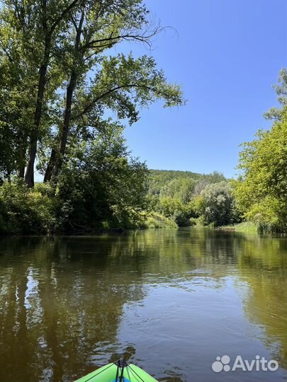 Лодки в аренду