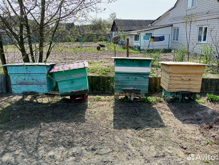 Улей для пчел бу