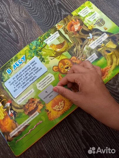 Детские книги Дональдсон; clever и тд