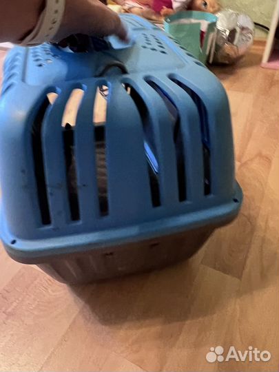 Переноска для кошек бу