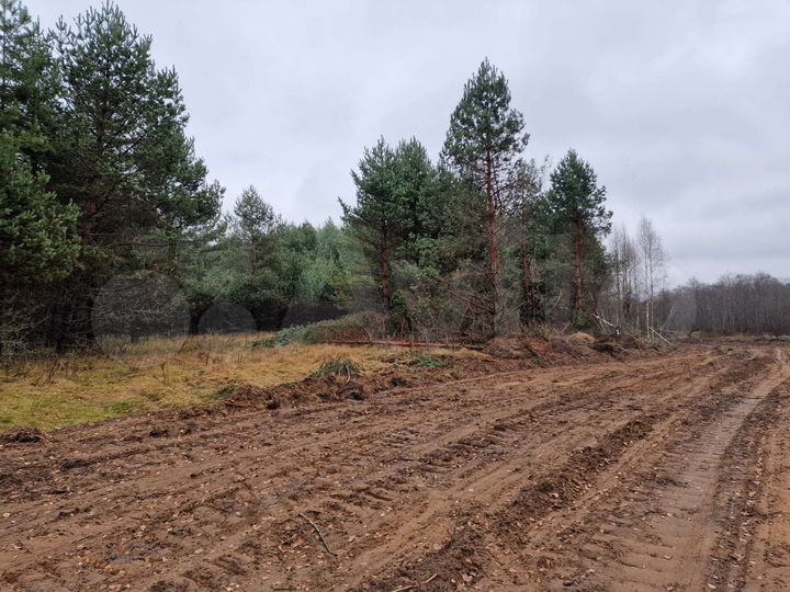 Участок 100 сот. (СНТ, ДНП)