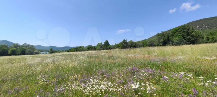 Участок 6,5 сот. (СНТ, ДНП)