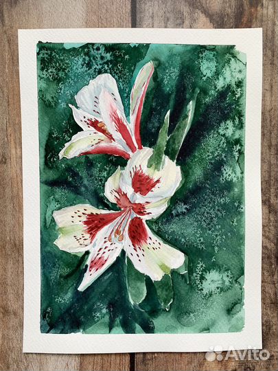 Картины акварель цветы