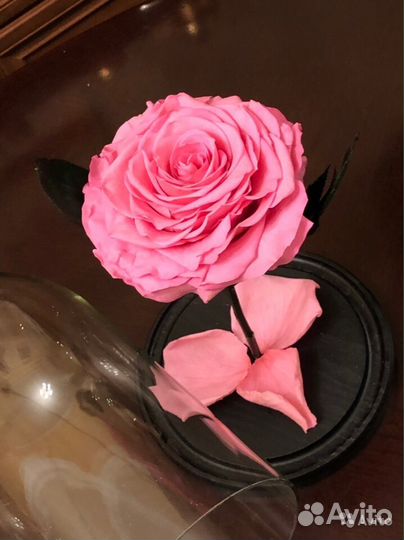 Удивительный подарок, роза в колбе