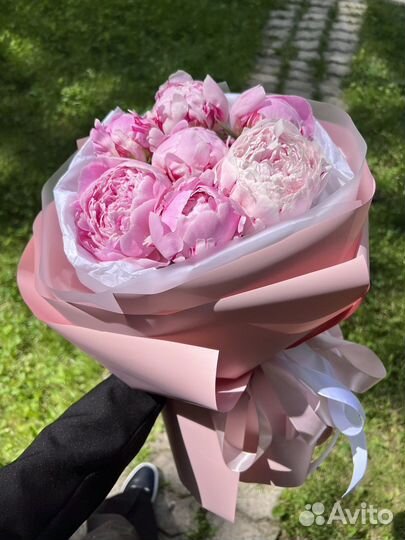 Пионы Sara Bernar Букеты Цветы Доставка