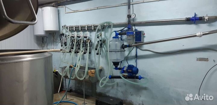 Молокопровод для доения коров