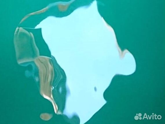 Дизельное топливо дт солярка 58