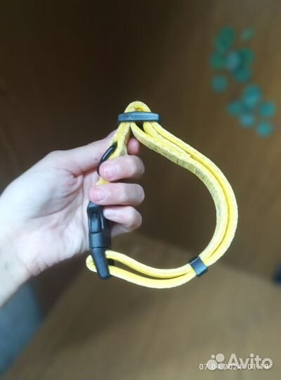 Комплект амуниции для собак