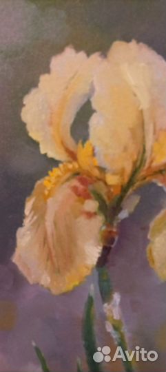 Картина с ирисом масло хост 35*20