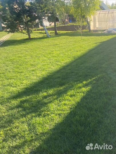 Культивация земли,устройство газона