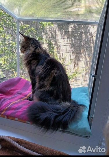 Балкончик для кошек