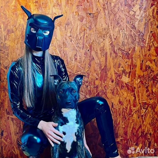 Костюм Секси Дог