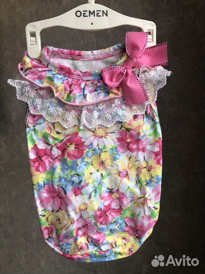 Одежда для собак