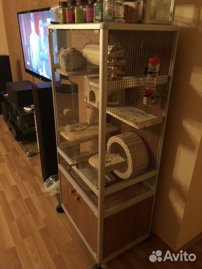 Витрина для шиншилл, дегу