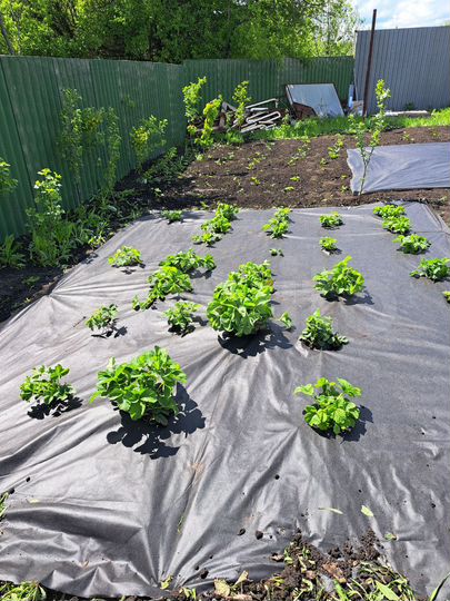 Дом 60 м² на участке 10 сот.