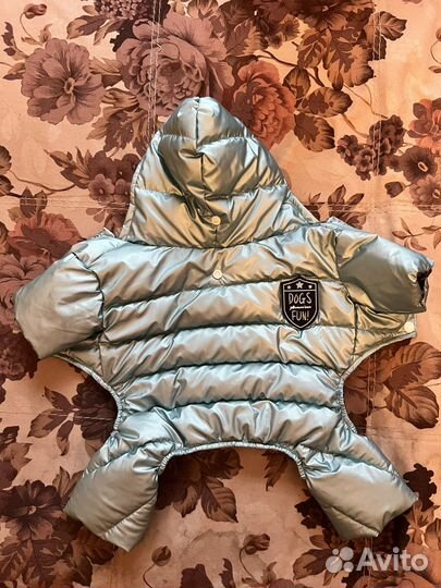Одежда для собак мелких пород зима
