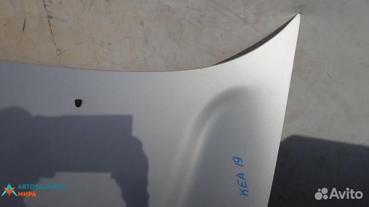 Капот Hyundai Santa Fe (SM) 2004