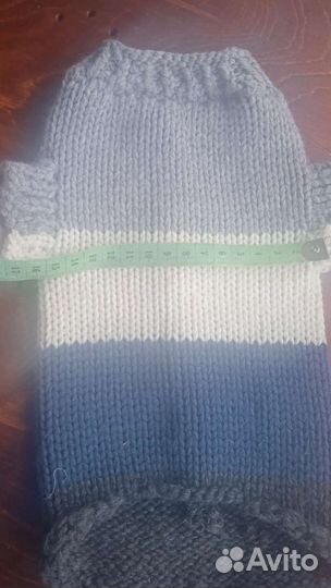 Тёплый свитер для сфинкса